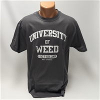 Shirt - University