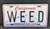 License Plate (Rollin')